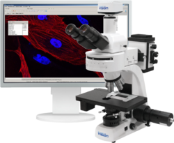 Цифровое решение для флуоресцентной микроскопии Vision Epi