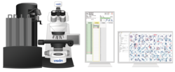 Vision Cyto® Pap Ultimate